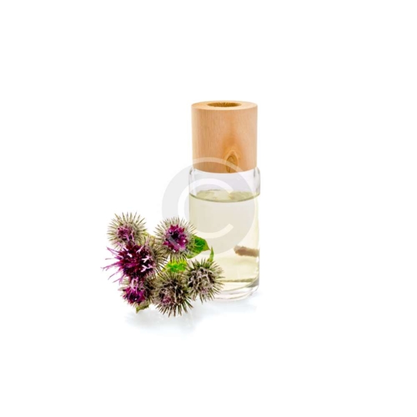Fresh Cactus Oil